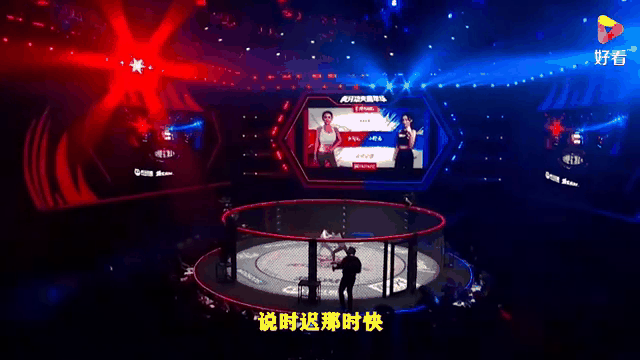 九游娱乐 -关于JackeyLove重返赛场，重返赛场首场状态出色，法国队观众沸腾！的信息