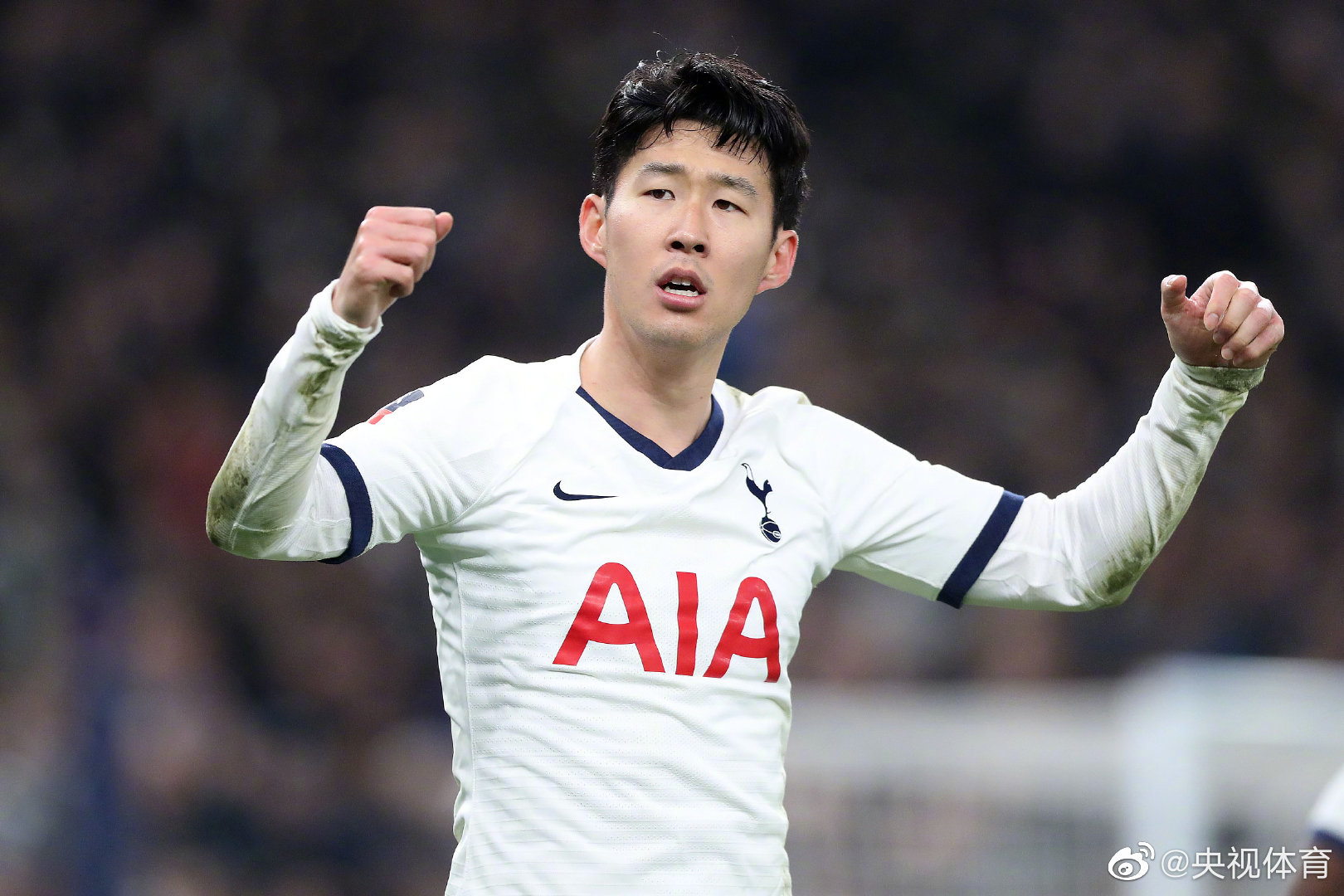 九游官方入口 - 孟菲斯灰熊和影照片 