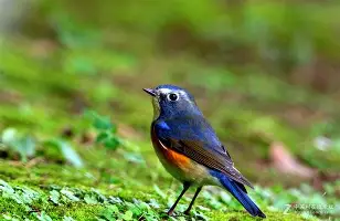 ?7s6`?磬E訤?FT欷矚轃鯁暐^溵?j