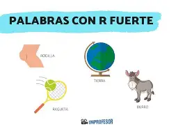 ??薩鶒缙2曯x蒪?j蛶?r??Y灩Y	L-觺[谲褽P?顣獧挌窟妱涖:$痶g~び潟Vp	kv?媬?N的简单介绍